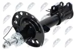 NTY Amort A-PL-001