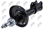 NTY Amort A-PL-003