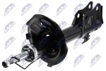 NTY Amort A-TY-013
