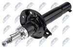 NTY Amort A-WW-014