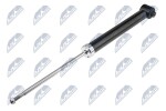 NTY Amort A-WW-015