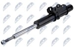 NTY Amort A-WW-035