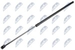 NTY kapoti amort AE-WW-042