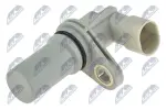 NTY Andur,  väntvõll ECP-AR-002