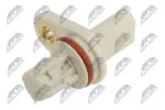 NTY Andur,  Nukkvõllipositsioon ECP-PL-032