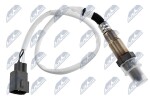 NTY  Lambda andur ESL-CT-001