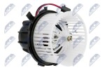 NTY Salongipuhur 12V EWN-AU-002