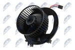 NTY Salongipuhur 12V EWN-AU-006