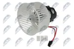 NTY  Salongipuhur 12V EWN-BM-004