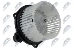 NTY Salongipuhur EWN-FR-007
