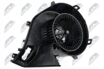 NTY Salongipuhur 12V EWN-PL-008