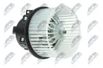NTY Salongipuhur 12V EWN-VV-000