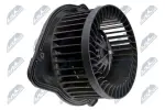 NTY  Salongipuhur 12V EWN-VV-003