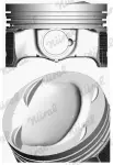 NÜRAL  Kolvid Elastoval ® 87-429907-00