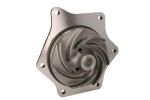OMP 164.128 / water pump (with pulley) fits: fiat m100, m115, m135, m160, ford 8160, 8260, 8360, 8560, tm 115, tm 125, tm 150, tm 165, new holland 850, 8160, 8260, 8360, 100/8160, 115/8260, 135/8360