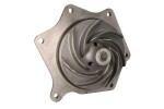 OMP 164.130 / water pump (with pulley, roller diameter: 125mm) fits: case ih 120 2wd, 130 2wd, 140 2wd, 155 2wd, 155 4wd, 175 2wd, 175 4wd, 190 2wd, 190 4wd, new holland tm 155, tm 175, tm 190