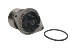 OMP 191.450 / water pump (with pulley: 88mm) fits: iveco eurocargo i-iii, eurocargo iv, eurocargo v, new holland t4000, t5000, t6000, t7, t7000, tl, ts f4ae0481a-nef6(f4ge0684c)