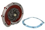 OMP 321.060 / Water pump (roller diameter: 112mm) fits: case ih 1046, 1046 a, 1055, 1055 a, 1055 xl, 1055 xla, 1056, 1056 a, 1056 xl, 1056 xla, 1255, 1255 xl, 1255 xla, 1420, 1620, 3088, 3288, 955, 955 a, 955 s