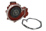 OMP 405.115 / water pump fits: daf 85 cf, 95 xf, cf 85, sb, xf 95 6bt5.9-xf355m 01.74-