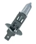 12V H1 55W P14,5 64150