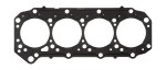 PAYEN Plokikaane tihend AF5750