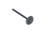  PFOR013-A-0-N / exhaust valve ford 1.8d