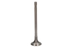 PARADOWSCY PFOR248 / exhaust valve (25.5x5.5x99.9) fits: ford focus iv, galaxy iii, galaxy mk iii, s-max, tourneo custom v362, transit custom v362, transit v363 2.0d 12.15-