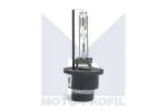 pirn XENON D2S 35W 85V BASIC