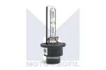 pirn XENON D2S 35W 85V