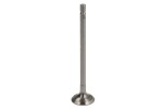 PARADOWSCY PHYU041 / exhaust valve (24x5.5x101.2) fits: hyundai i10 i, i10 ii, i20 i, i20 ii, kia picanto ii, picanto iii, rio iii 1.2/1.25/1.2lpg 09.08-