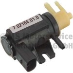PIERBURG  Survemuundur,turbokompressor 12V 7.02184.01.0