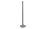 PARADOWSCY PMER081 / exhaust valve (38x8x152.6mm) fits: mercedes fits: mercedes atego, atego 2, axor, axor 2, citaro (o 530), cito (o 520), connecto (o 345), econic, lk/ln2, of, oh om900.911-om926.990 01.70-