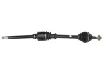 POINT GEAR Veovõll PNG71251