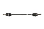 POINT GEAR Veovõll PNG71473