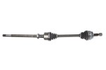 POINT GEAR  Veovõll PNG72741