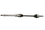 POINT GEAR  Veovõll PNG72807