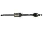 POINT GEAR Veovõll PNG75962