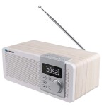 Blaupunkt PP14BT