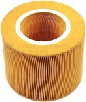 Professional Parts Õhufilter 24342491