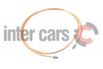 WP тормозной шланг медь 104/105/3000