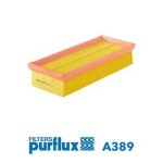 PURFLUX Õhufilter A389