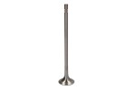PARADOWSCY PVOL116 / exhaust valve (40x8x191.7mm) fits: volvo fh ii, fm, fm ii, fmx ii d13a420-d13k540 09.05-