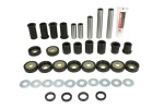 PIVOT WORKS PWIRS-00005 / atv suspension repair kit rear fits: suzuki lt-a 450 2008-2010