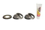 PIVOT WORKS PWSSK-Y05-421 / frame main bearing kit fits: yamaha wr, xt, yz 125-1200 1996-2018