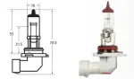 H12 12V 53W pz20d RING