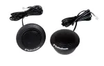 Rockford Fosgate R1T-S