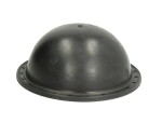 RAASM membrana do RA10805