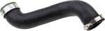 RAPRO  Laadimisõhu voolik R25547