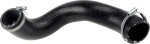 RAPRO  Laadimisõhu voolik R31224