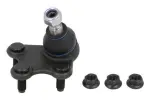 REINHOCH  Kande-/juhtliigend RH03-0022